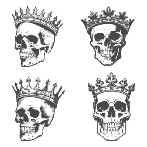 Collection of Skull in the crown cover image.