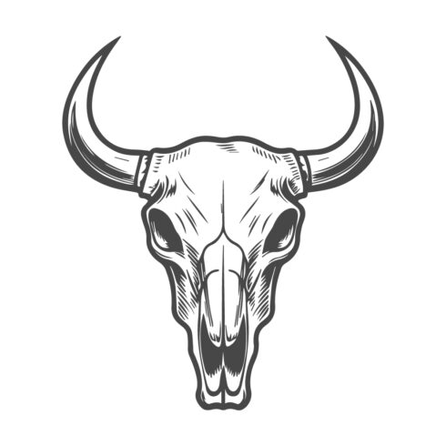 Bull skull isolated icon vector illustration cover image.