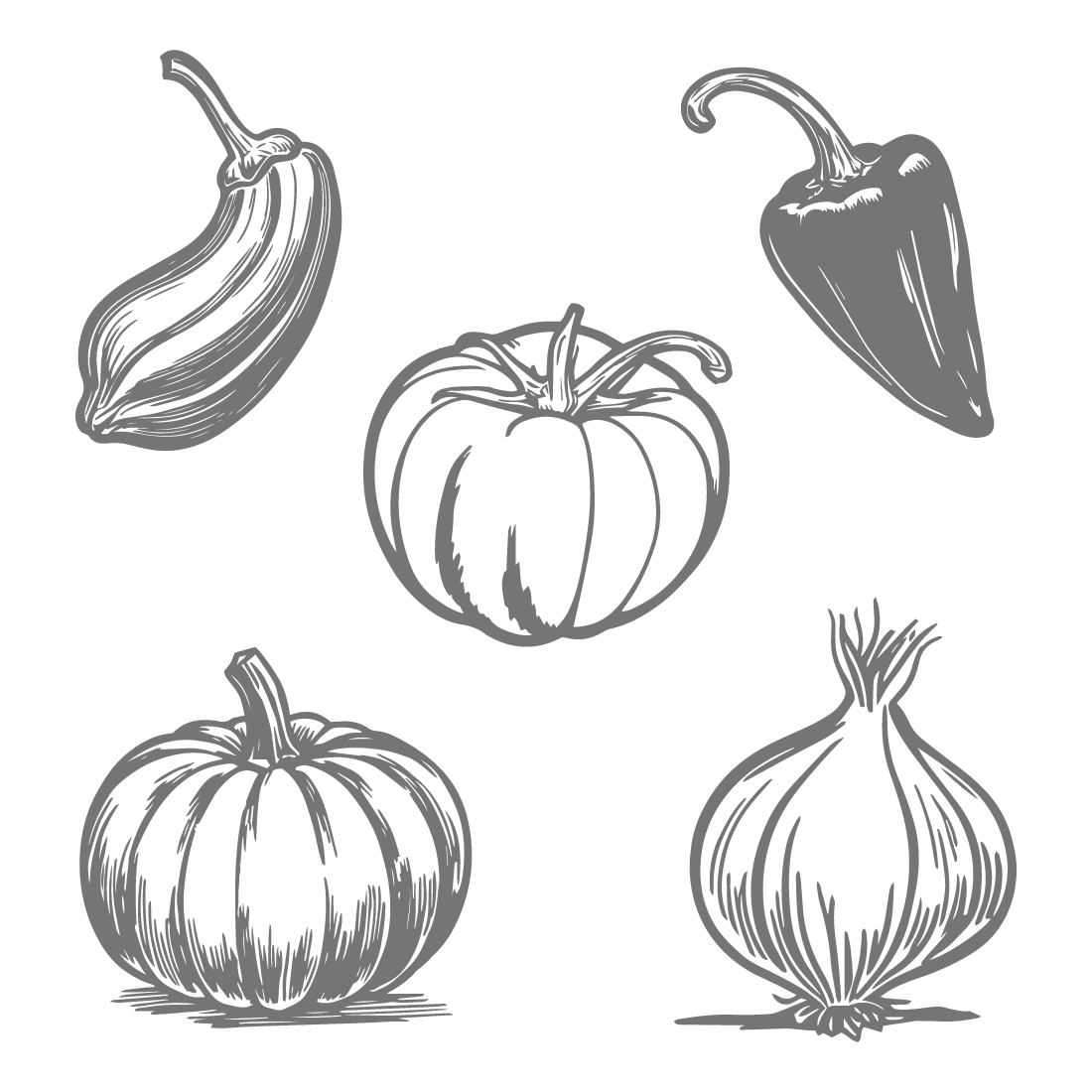 Collection of vegetables including a tomato, peppers, pumpkin, and onion on a white background cover image.