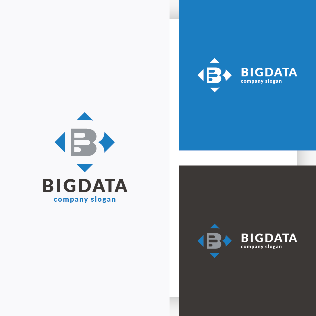 Big Data Letter B Logo cover image.