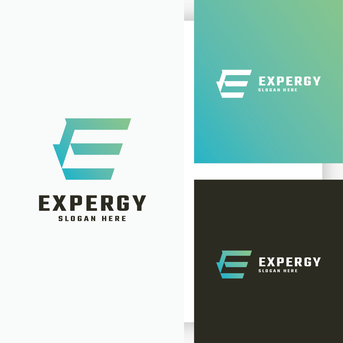 Expert Letter E Logo preview image.