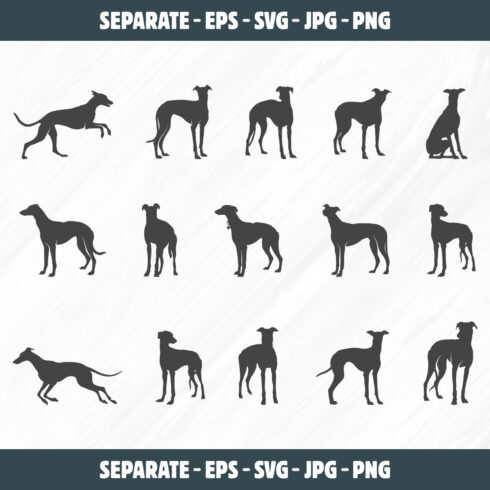 Greyhound Svg, Greyhound Dog Silhouette, Greyhound Dog Svg, Greyhound Silhouette, Dog Silhouette, Dog Svg, Greyhound Dog Clipart, Greyhound Dog Vectors cover image.