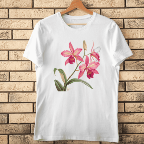 Cattleya Orchid T-Shirt Design cover image.