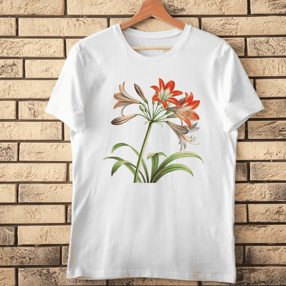 Amaryllis Flower T-Shirt Design cover image.