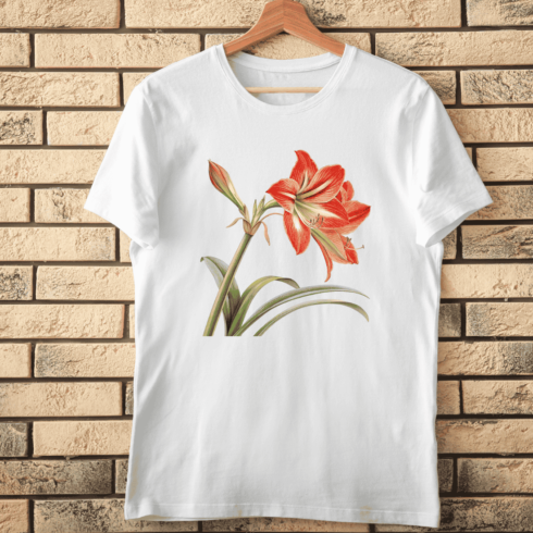 Amaryllis Flower T-Shirt Design cover image.