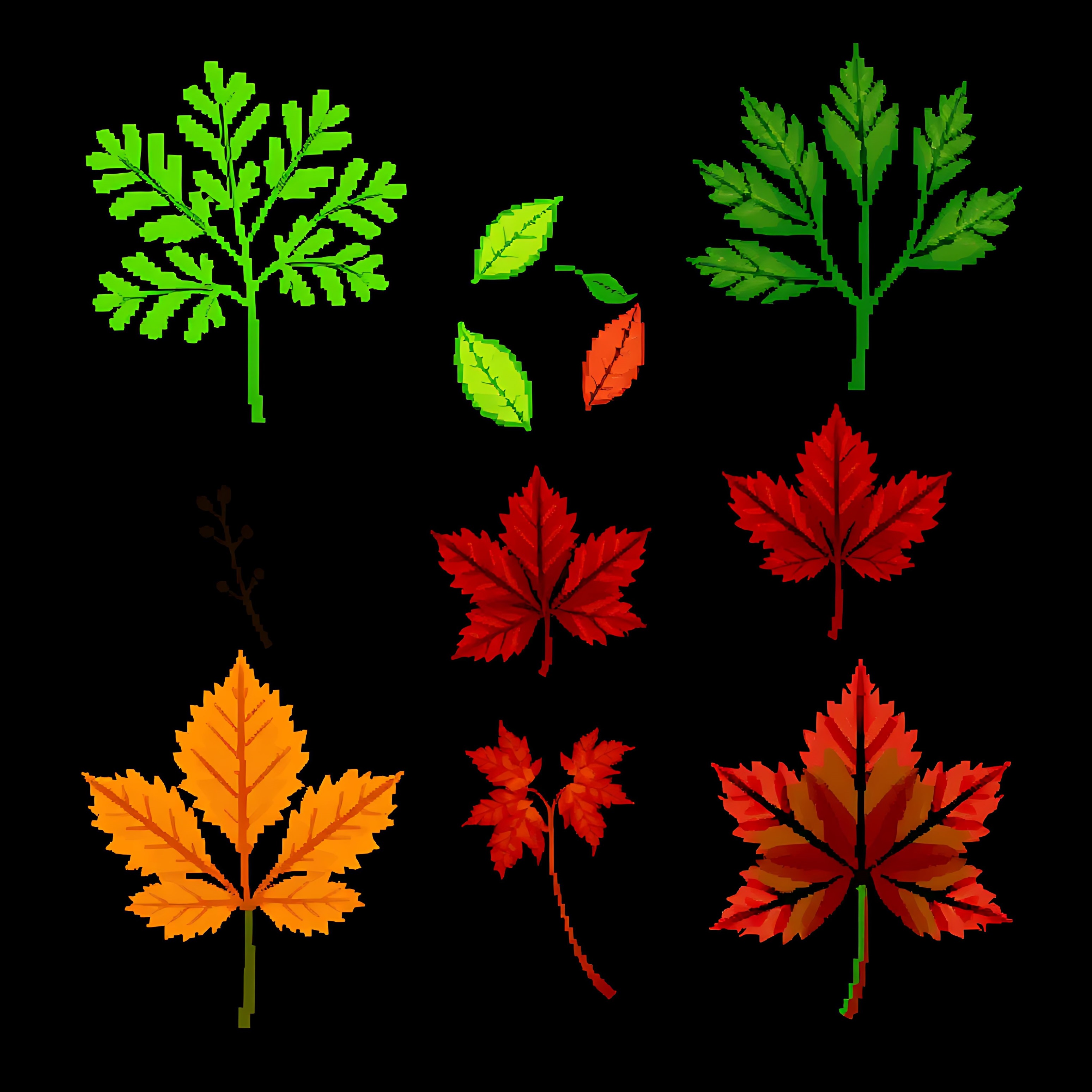 aaelm sycamore chestnut maple. elm leaves with finely serrated pixel edges sycamore leaves with broad lobed 00002 156