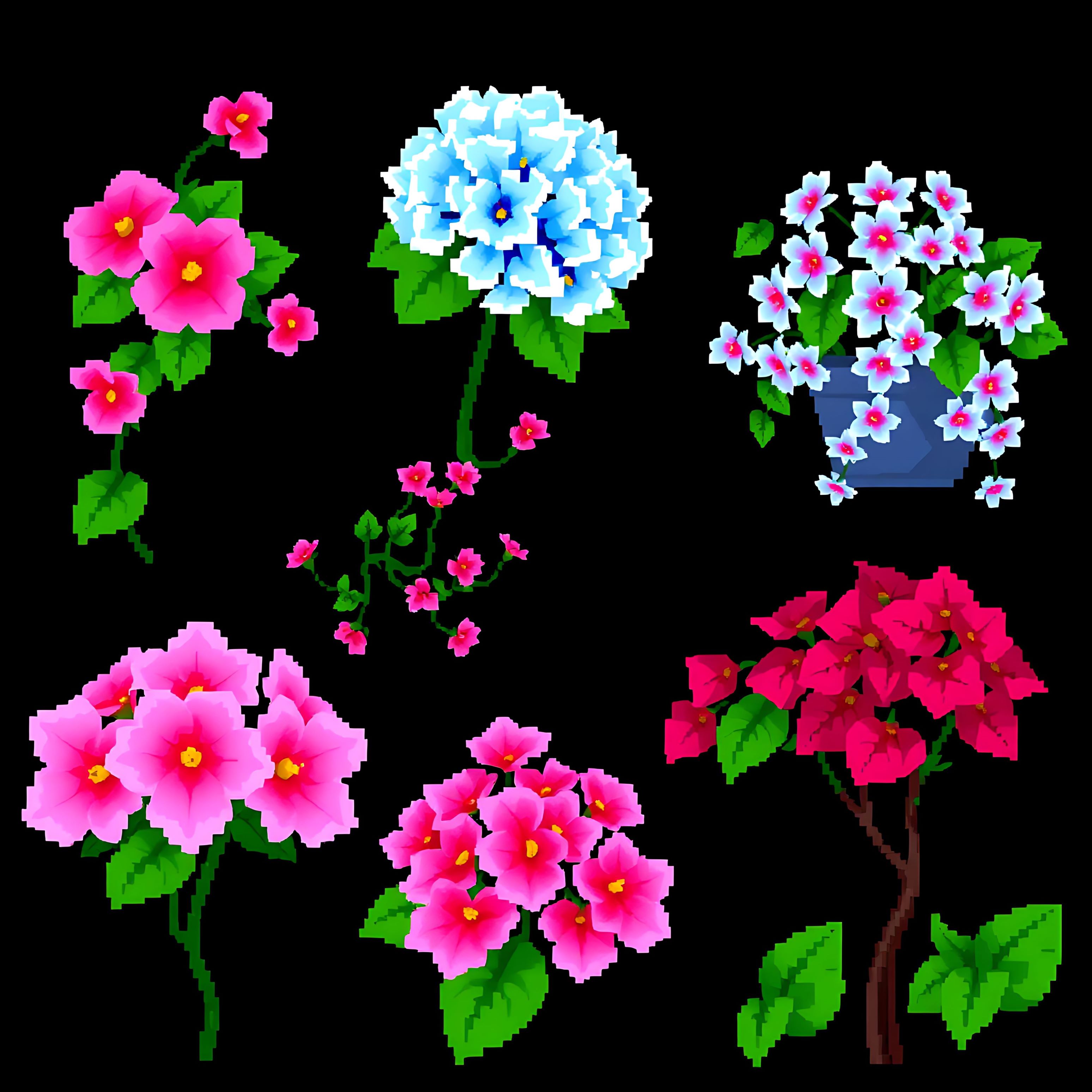 aahydrangeas begonias vines ficus trees. pixel hydrangeas in pastel blue begonias with vibrant pink petals 00007 343