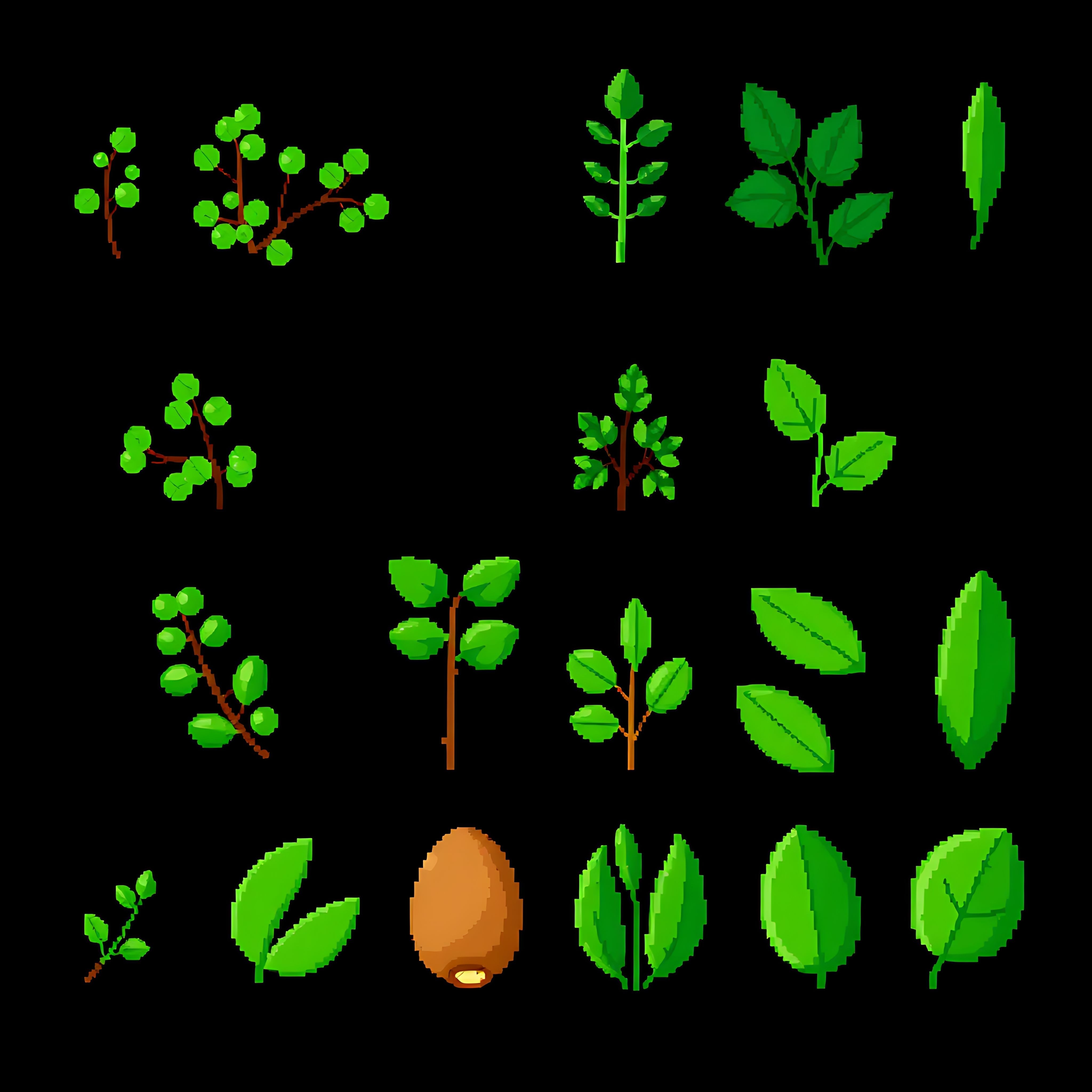 acacia baobab cashew almond. acacia leaves with small rounded pixel clusters in light green baobab leaves 13 244