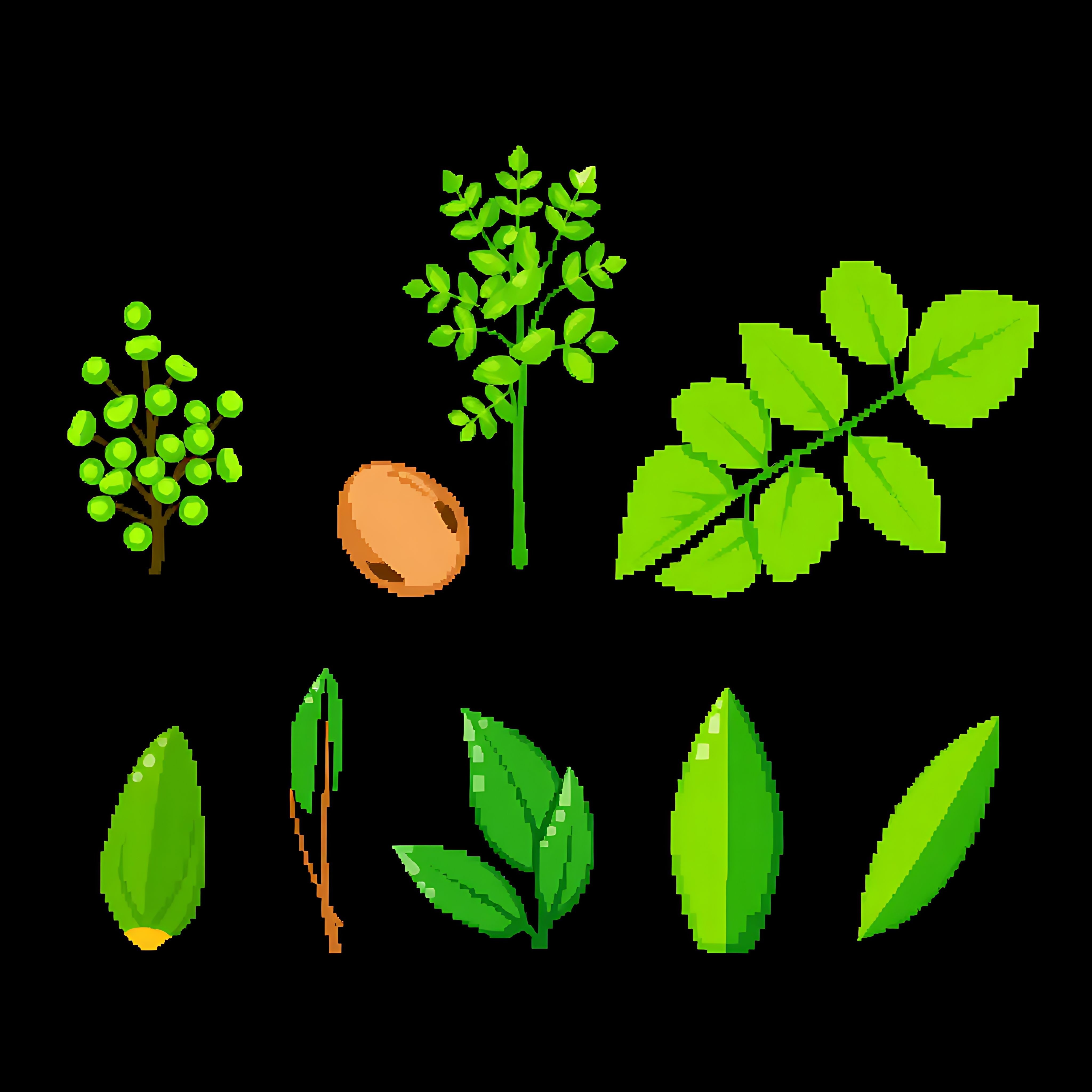 acacia baobab cashew almond. acacia leaves with small rounded pixel clusters in light green baobab leaves 14 3