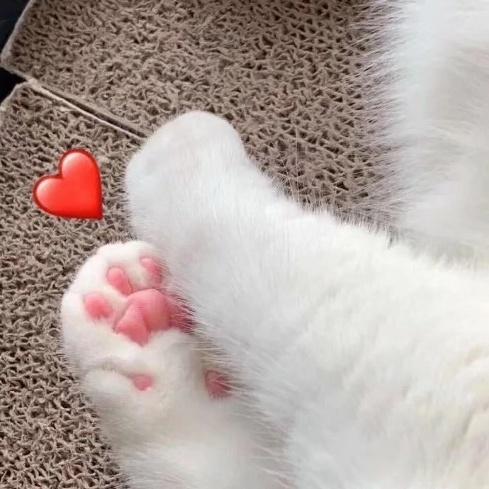 802