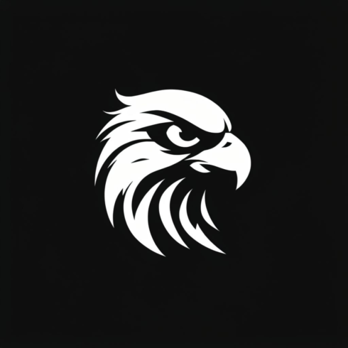 Hawk Logo cover image.