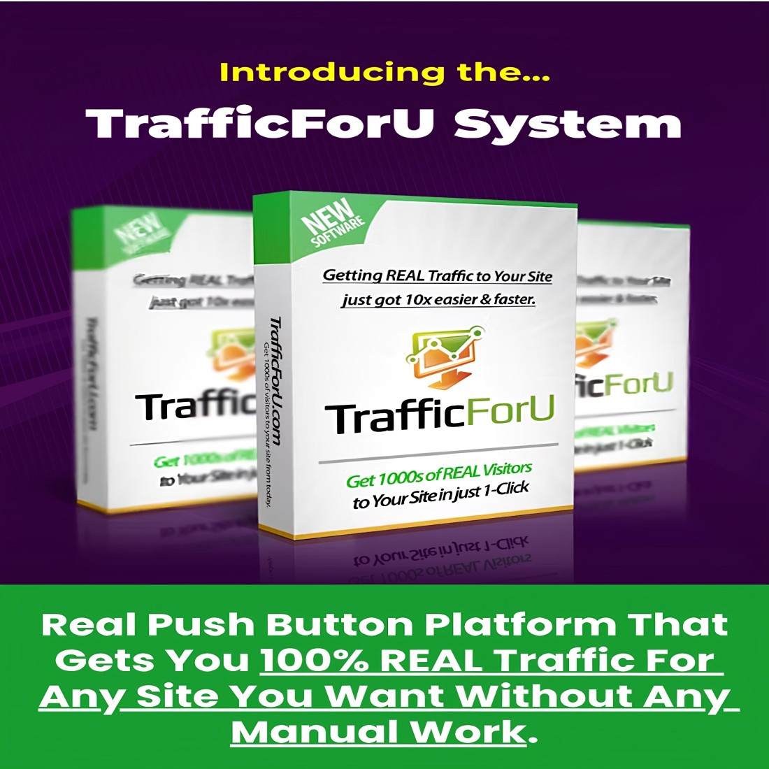 TrafficForU Premium 3000 - Promote Today Get Real Sales Traffic Affiliate Traffic and Any website traffic preview image.