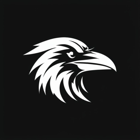 Raven Logo cover image.