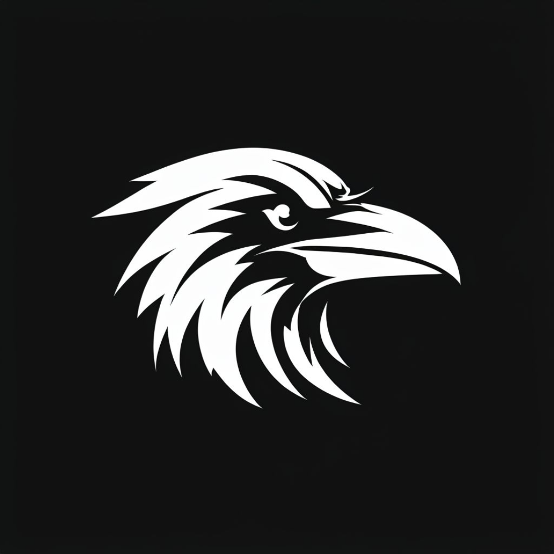 Raven Logo cover image.