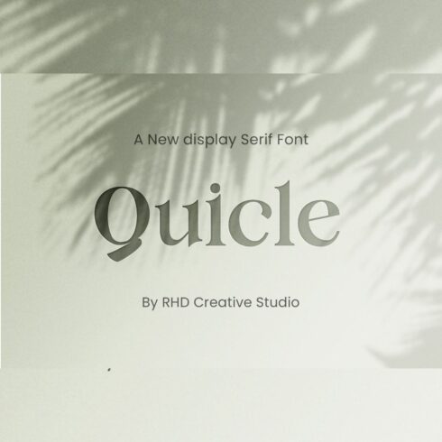Quicle New Display Serif Font cover image.