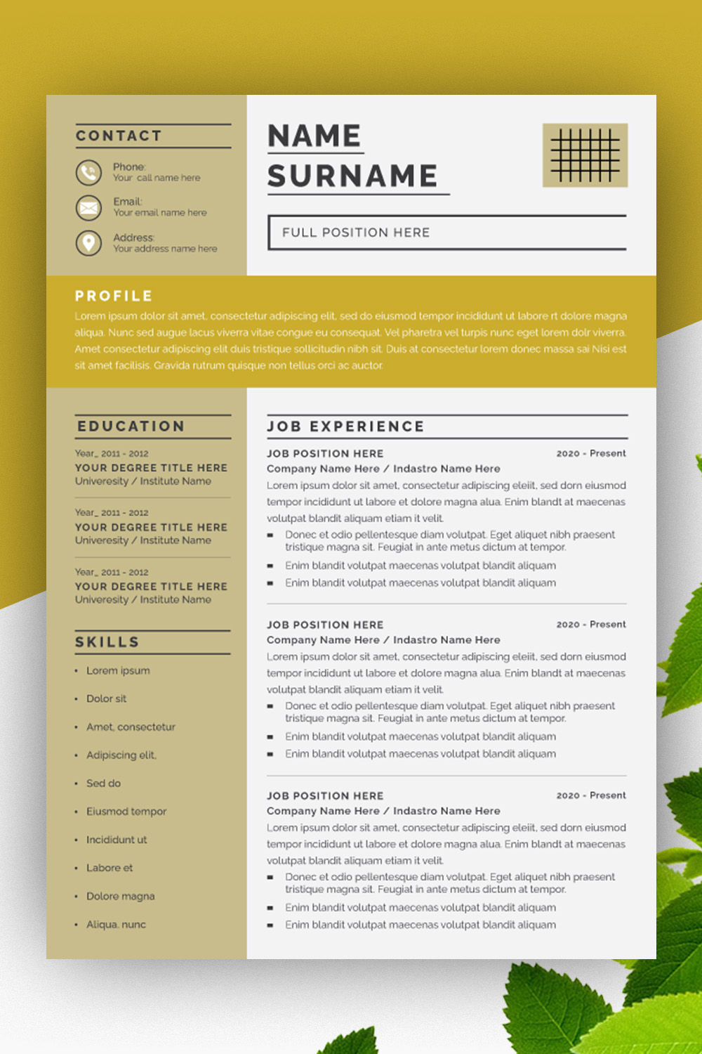 Professional Resume Layouts Set pinterest preview image.