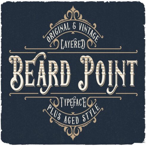 Beard Point vintage layered font cover image.