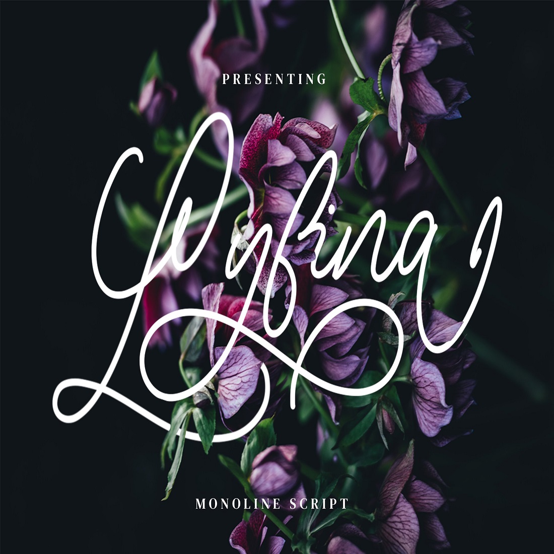 14 lyfina spring monoline script 499