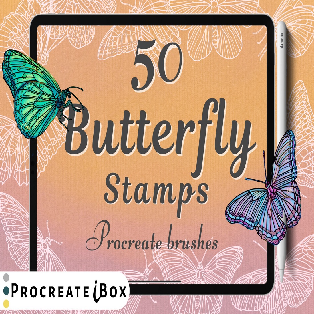 Butterfly iBox Procreate stamps brushes cover image.