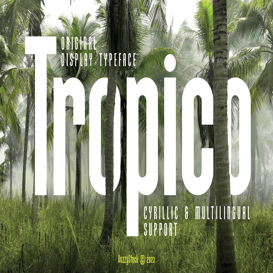 19 tropico 124