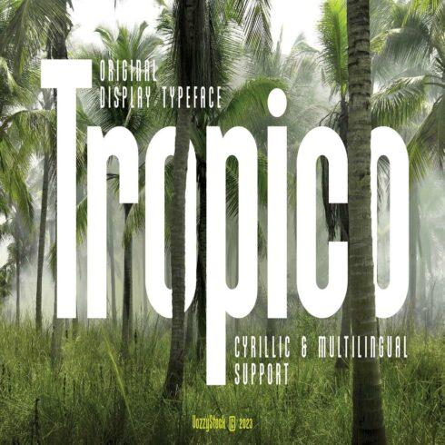 Tropico Font cover image.