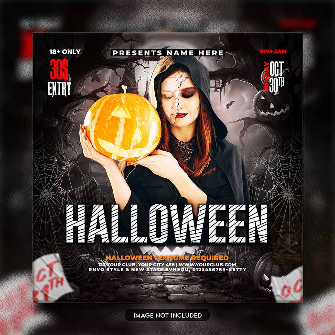 Premium Bundle Flyer social media and Instagram post template preview image.