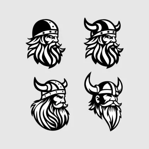 viking cover image.