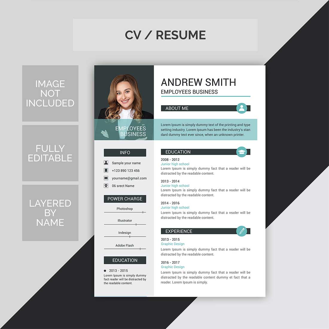 Professional Resume Templates cover image.