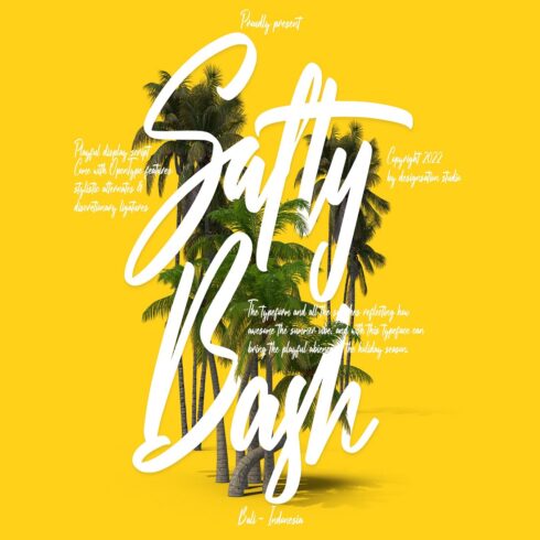 Salty Bash Tropical Script cover image.
