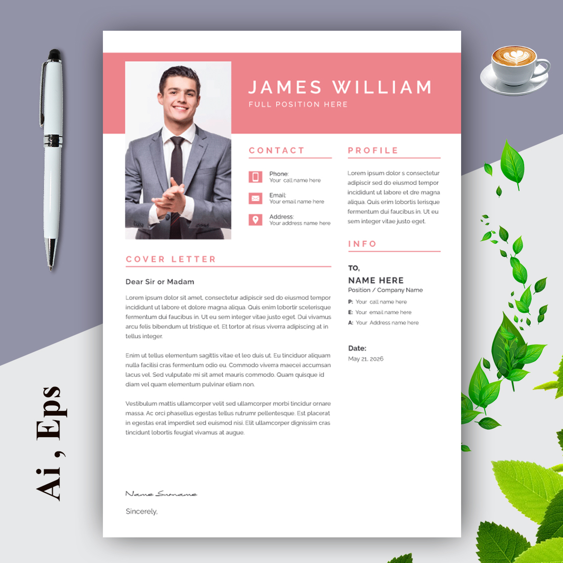 Professional Resume Layout preview image.