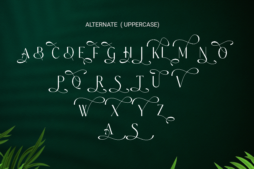artboard 8 240