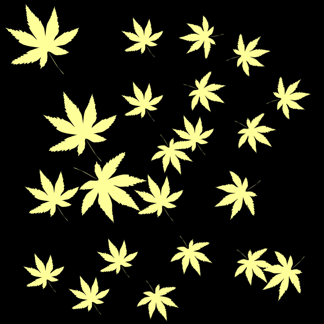 background flowers black copy 404