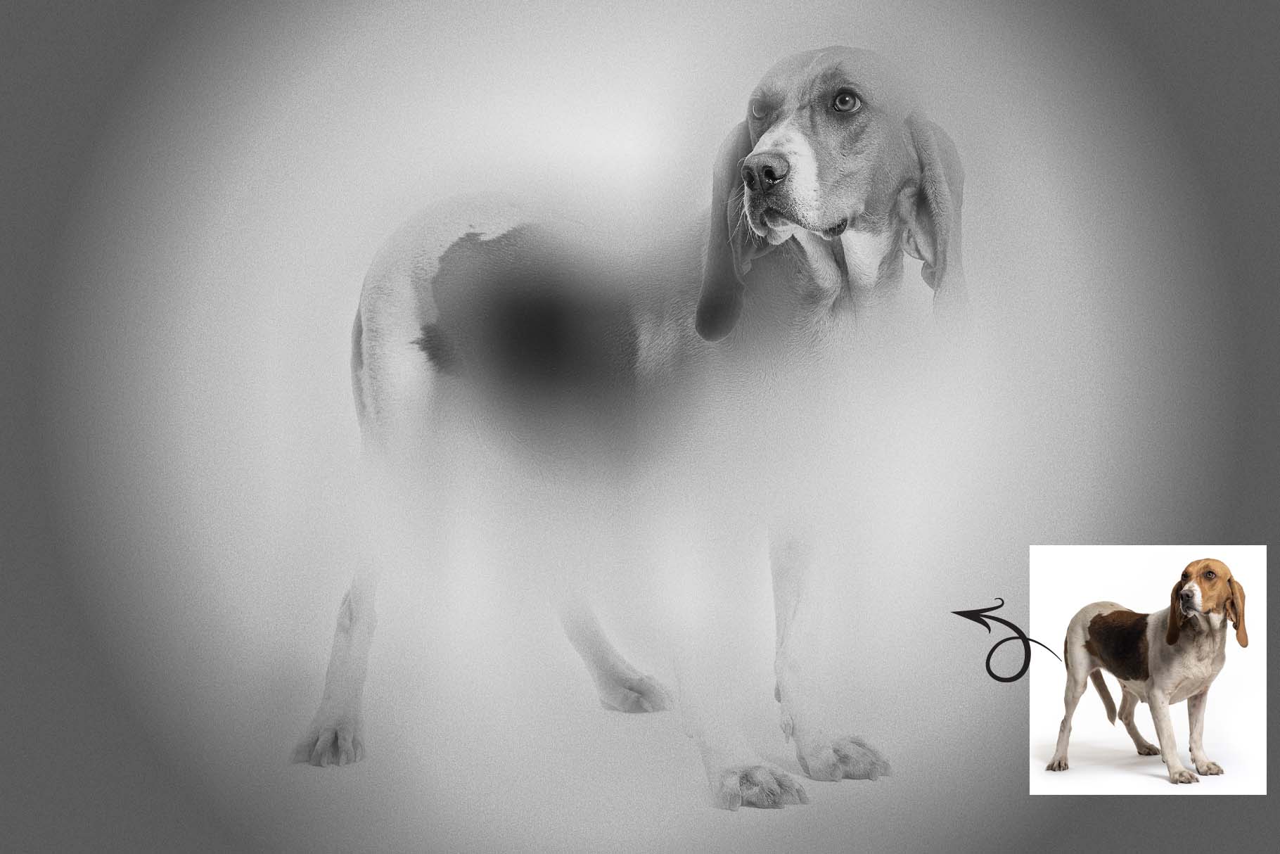 blur focus photoshop action 7 87