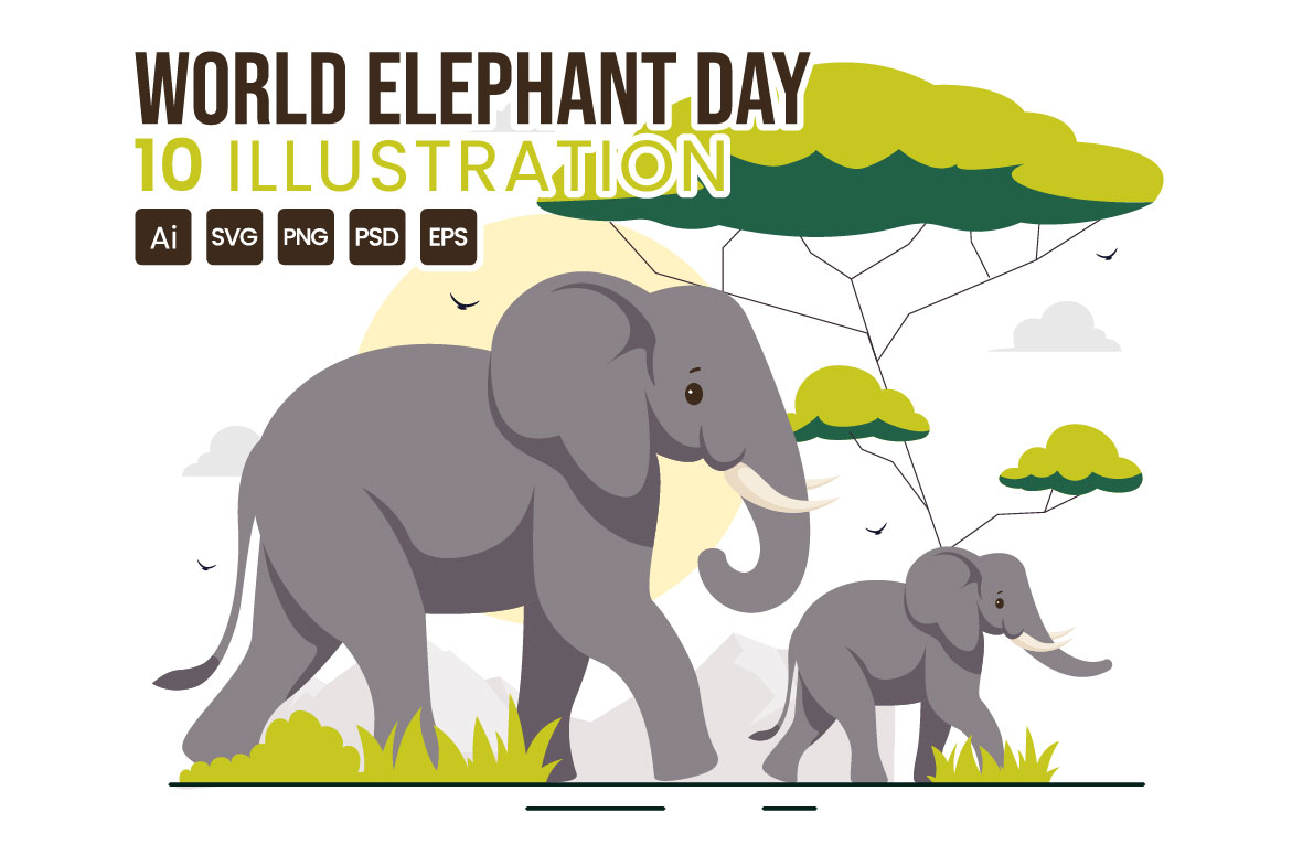 elephant 01 371