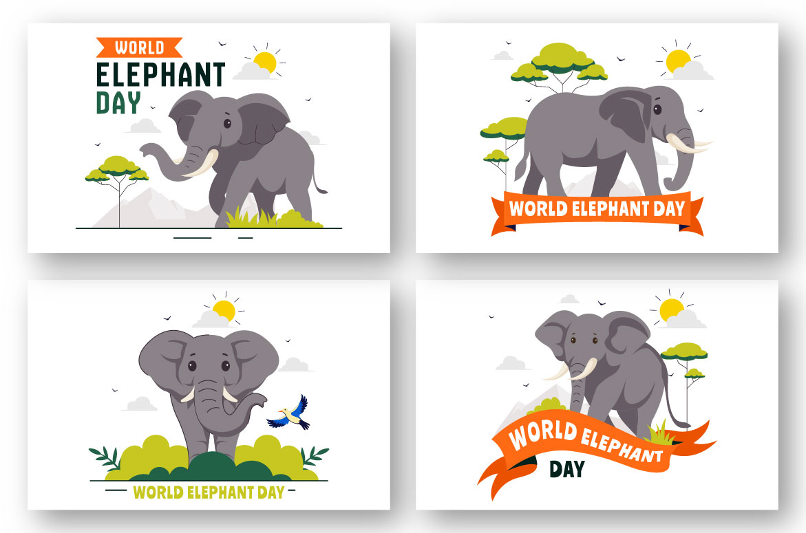 elephant 02 318