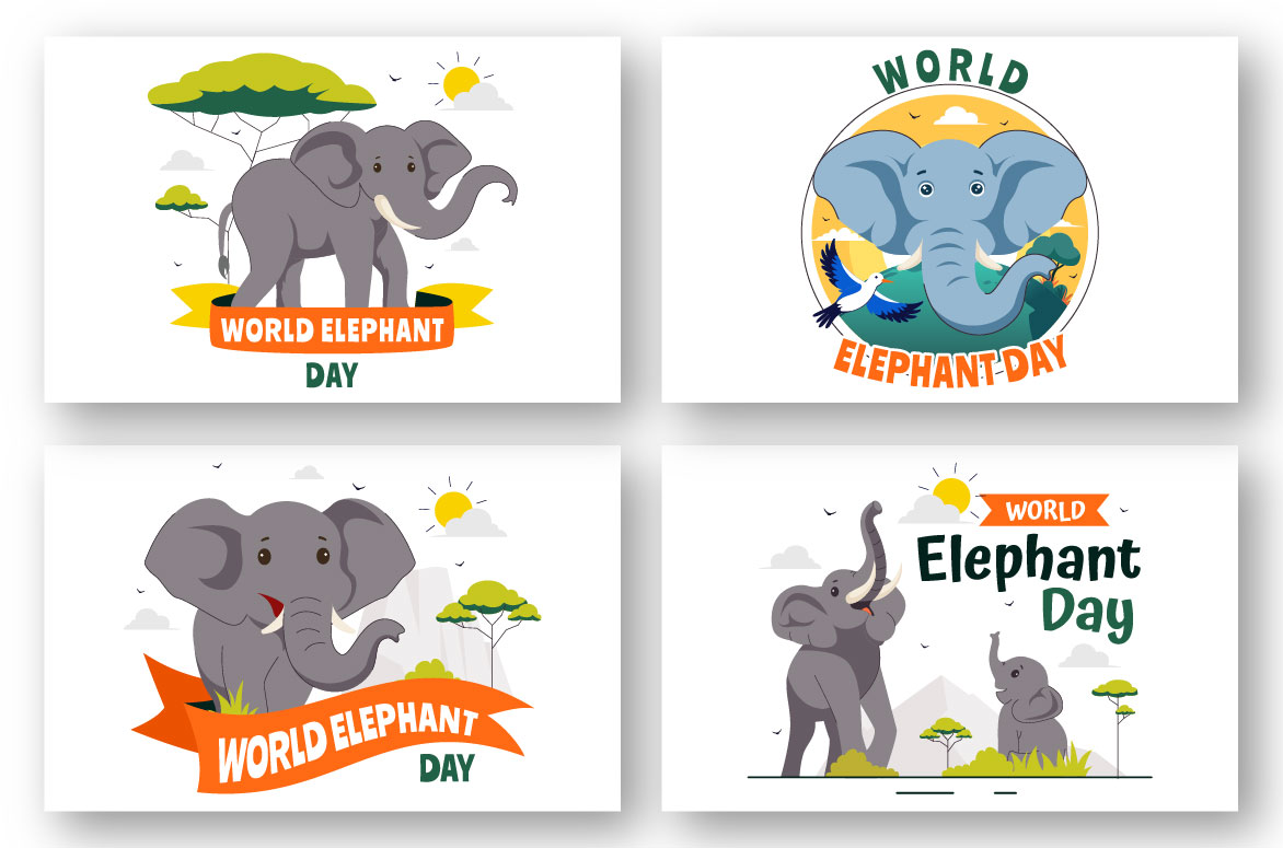 elephant 03 970
