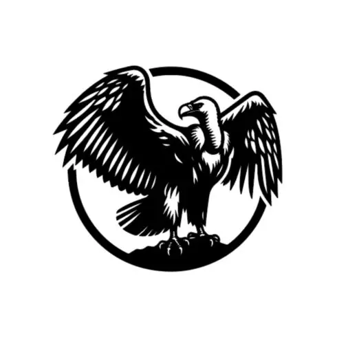 Vulture Logo cover image.
