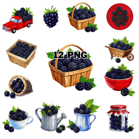 Watercolor Blackberry Sublimation Clipart Bundle cover image.