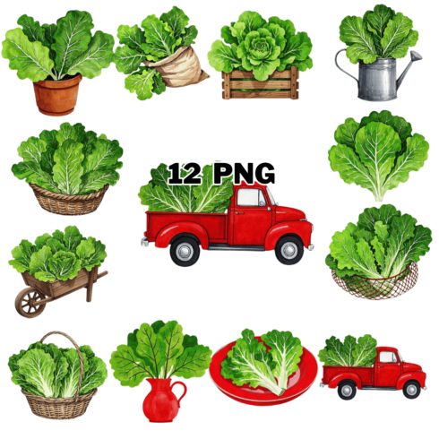 Watercolor Lettuce Sublimation Clipart Bundle cover image.