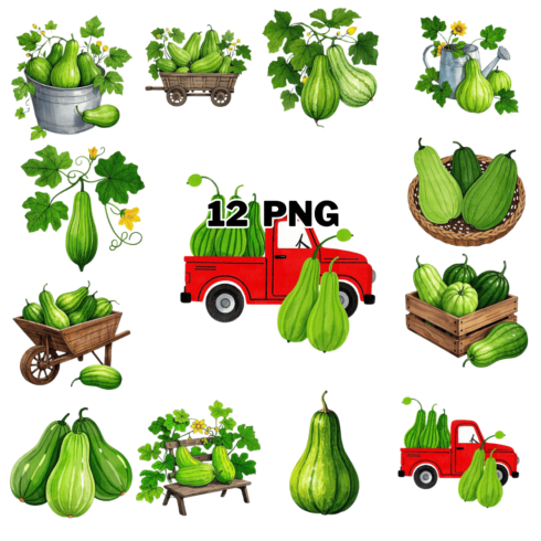 Watercolor Bottle gourd Sublimation Clipart Bundle cover image.