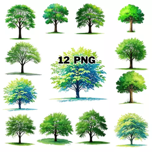 Watercolor Summer Tree Sublimation Clipart Bundle cover image.