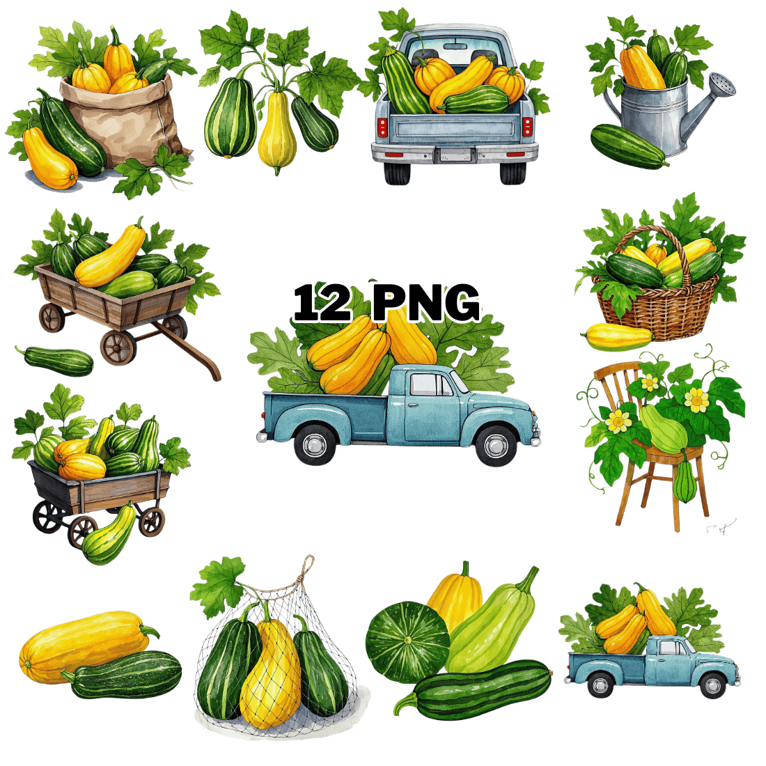 Watercolor Summer Squash Sublimation Clipart Bundle cover image.