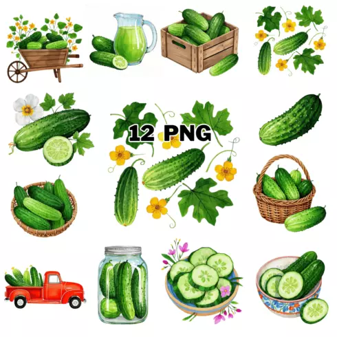 Watercolor Cucumbers Sublimation Clipart Bundle cover image.