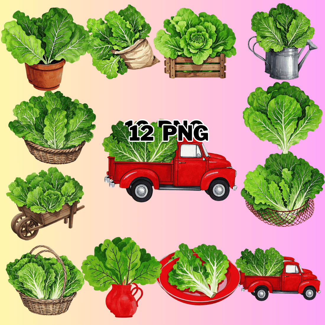 Watercolor Lettuce Sublimation Clipart Bundle preview image.