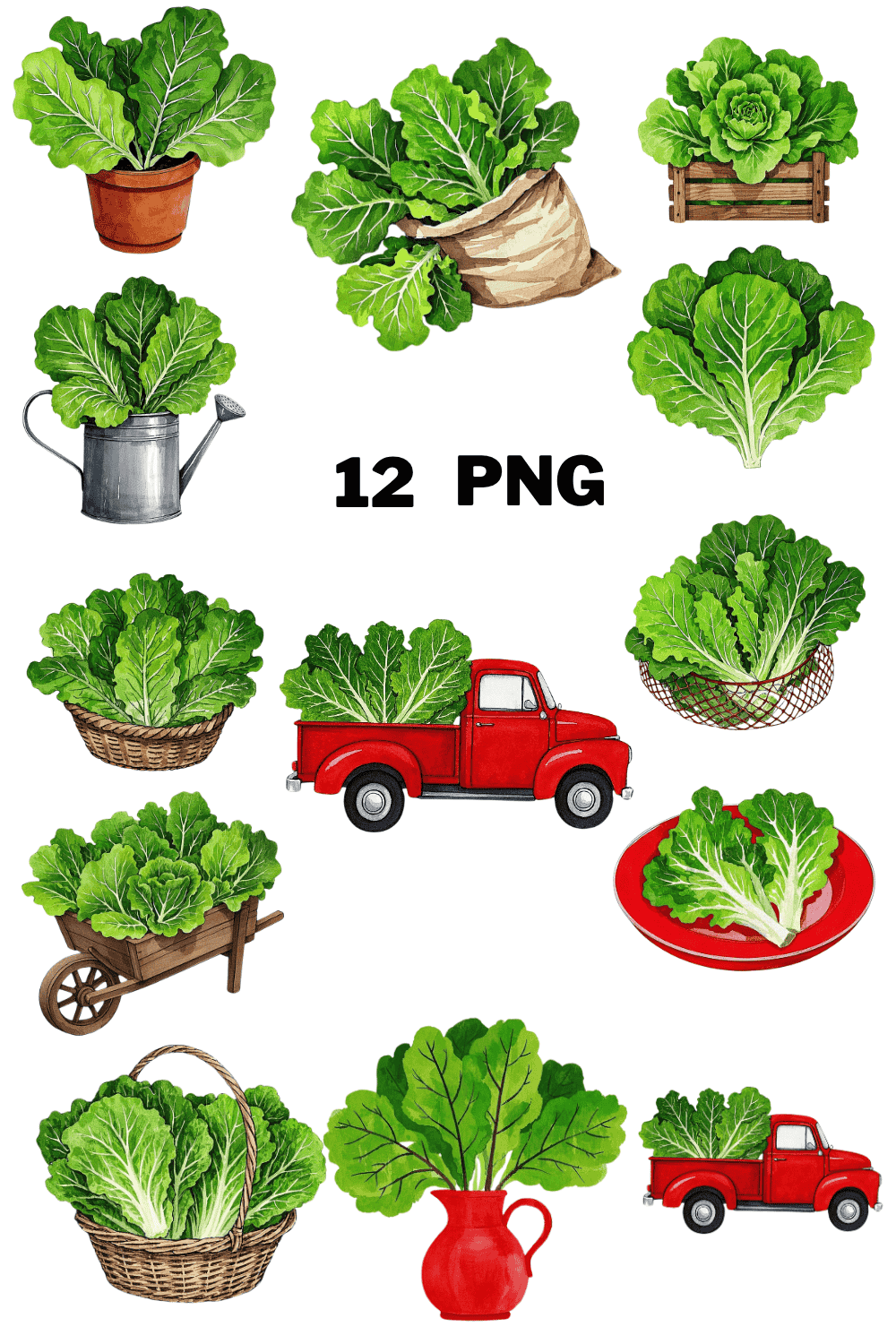 Watercolor Lettuce Sublimation Clipart Bundle pinterest preview image.