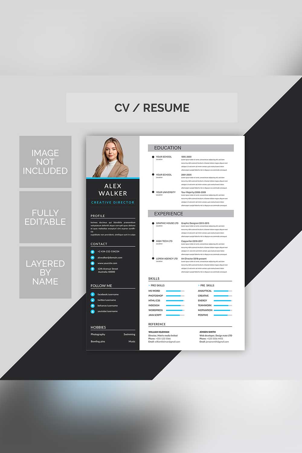 Professional Resume Templates pinterest preview image.