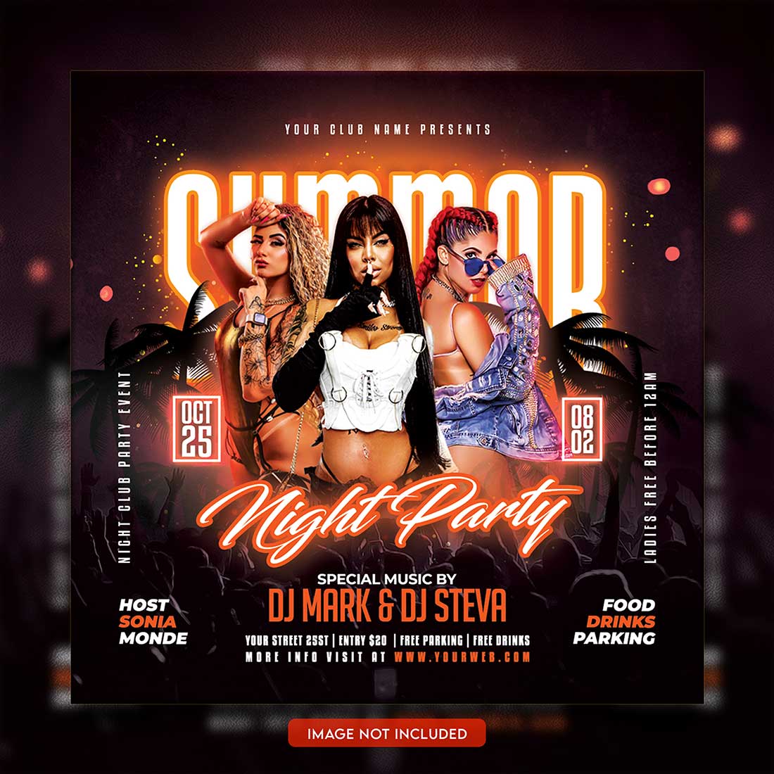 Premium Bundle Dj Night Club Party Flyer social media and Instagram post template preview image.