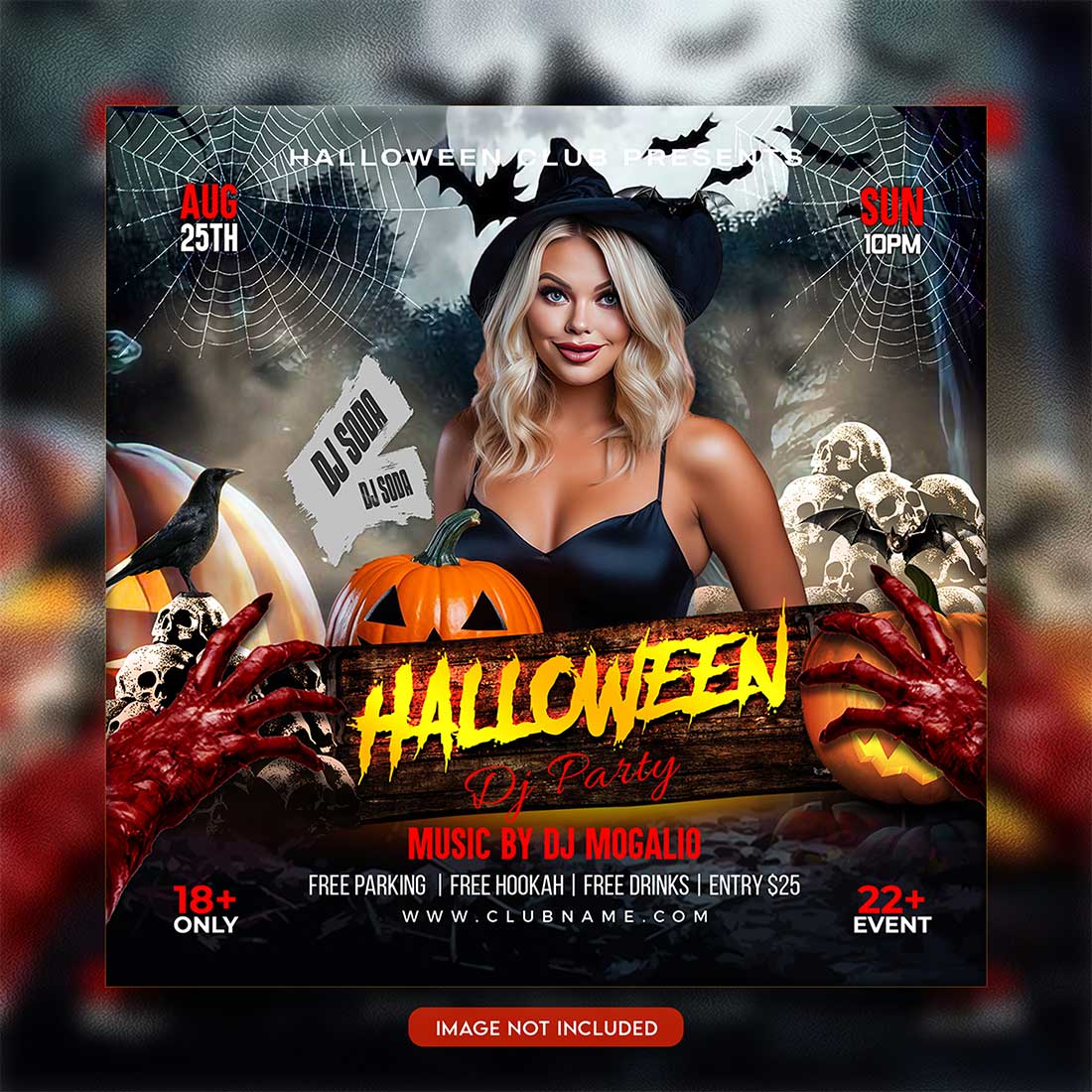 Premium Bundle Flyer social media and Instagram post template preview image.