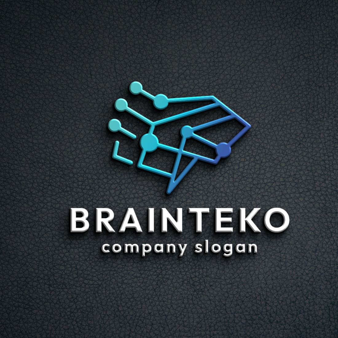 Brain Technology System Logo preview image.