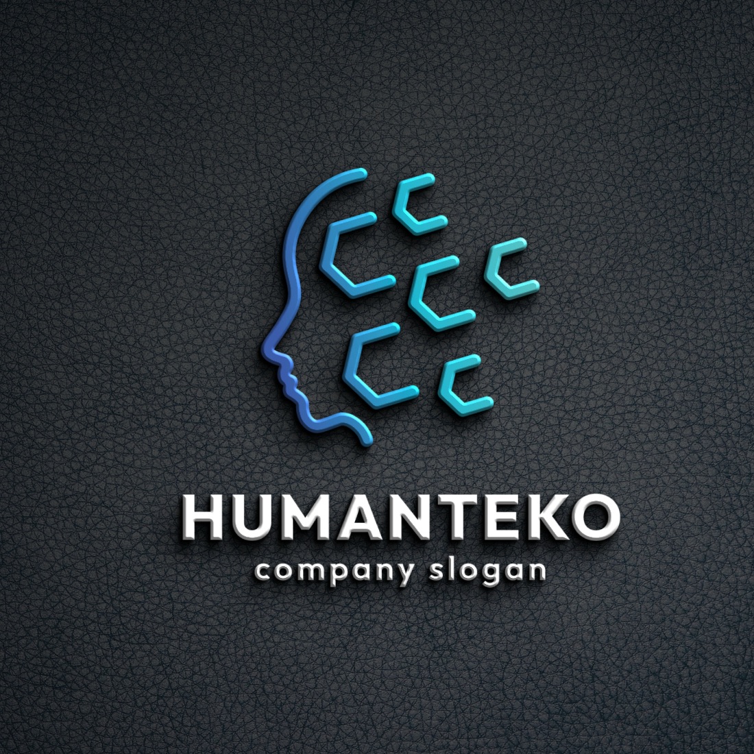 Human Head Virtual Technology Logo cover image.